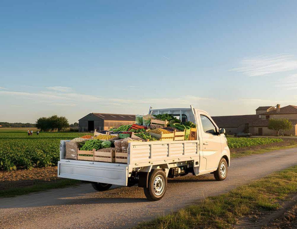 Startruck 18 Star Truck img